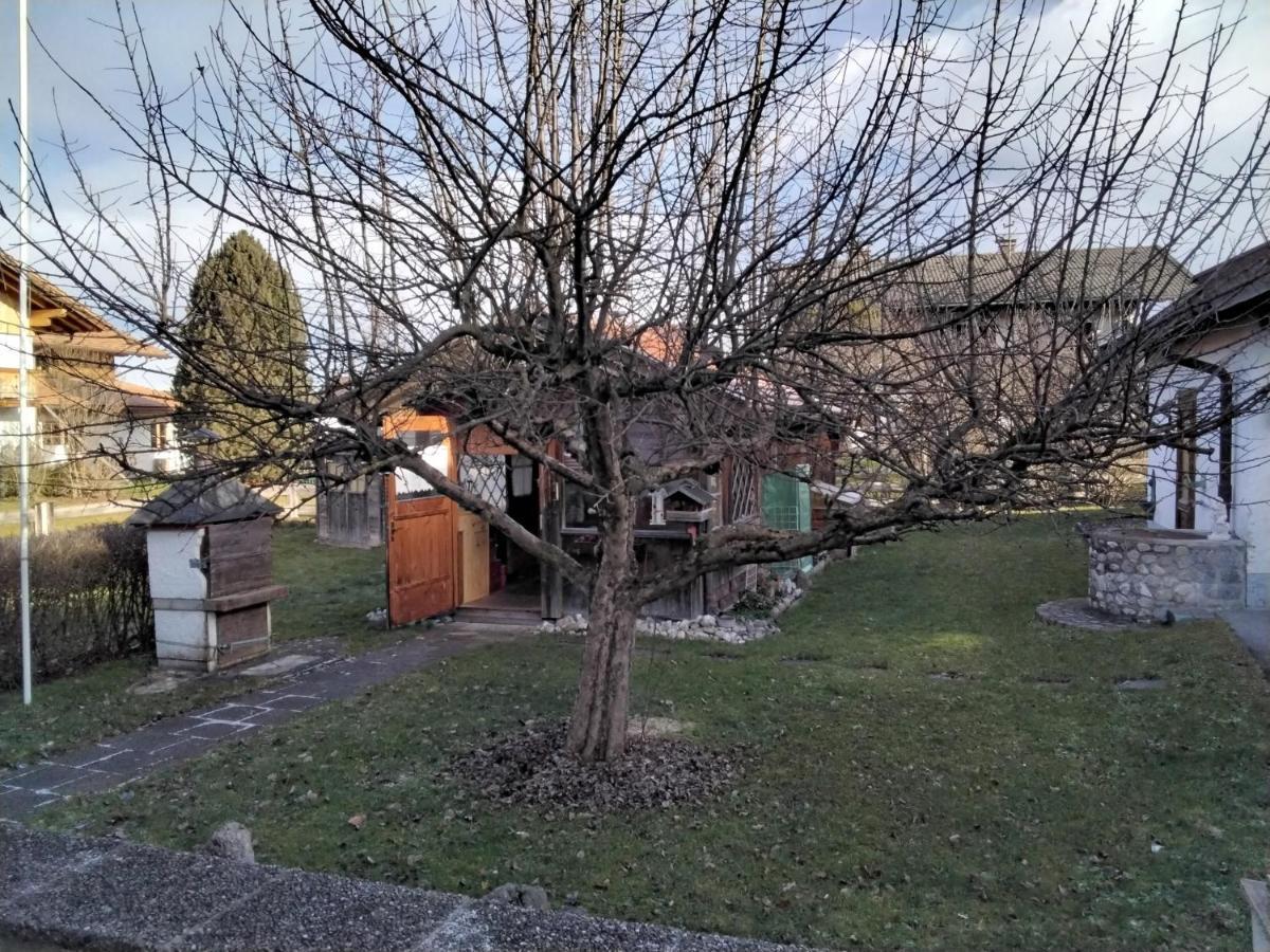 Ferienwohnung Maxl Fischbachau Exterior foto